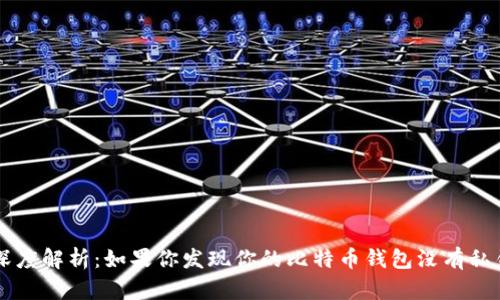 比特币钱包深度解析：如果你发现你的比特币钱包没有私钥，该怎么办？