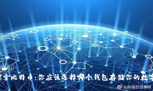 深入探索比特币：你应该选择哪个钱包存储你的数字资产？