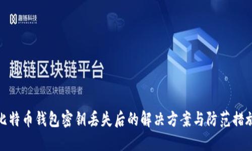 比特币钱包密钥丢失后的解决方案与防范措施