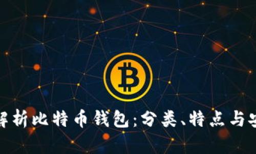 全面解析比特币钱包：分类、特点与安全性