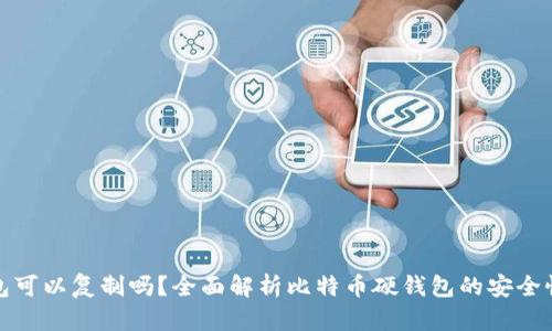 比特币硬钱包可以复制吗？全面解析比特币硬钱包的安全性与复制风险