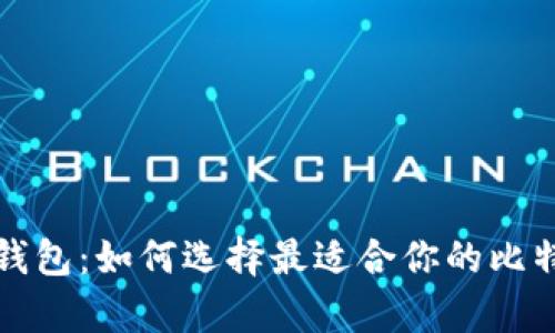 揭秘比特币钱包：如何选择最适合你的比特币存储方式
