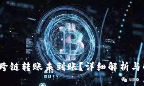 :TP钱包跨链转账未到账？详细解析与解决方案