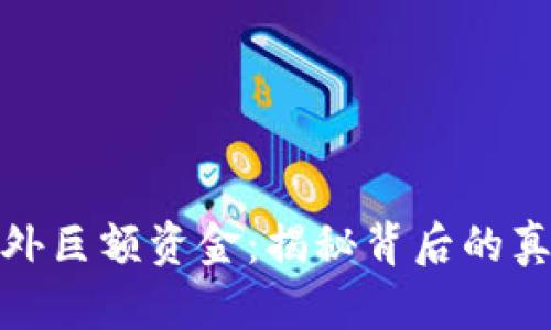TP钱包突现意外巨额资金：揭秘背后的真相与潜在风险
