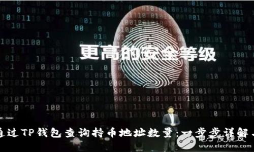 如何通过TP钱包查询持币地址数量：一步步详解与技巧