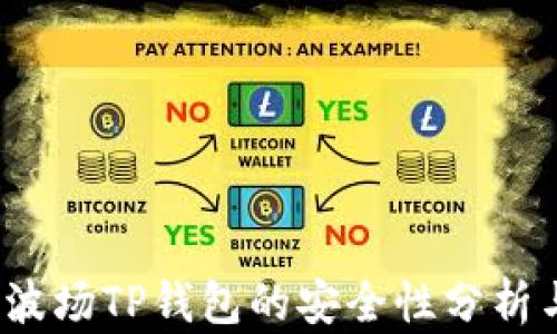 
深入探讨：波场TP钱包的安全性分析与用户指南