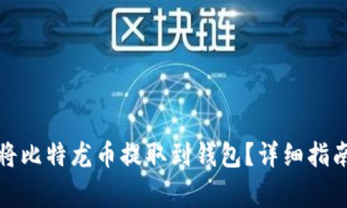 如何安全高效地将比特龙币提取到钱包？详细指南与常见问题解答